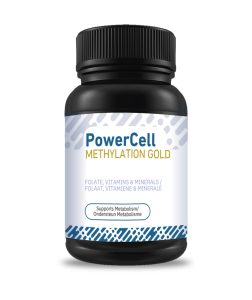 Methylation gold